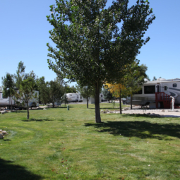 Iron Horse RV Resort