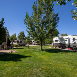 Iron Horse RV Resort :: Greenbelt